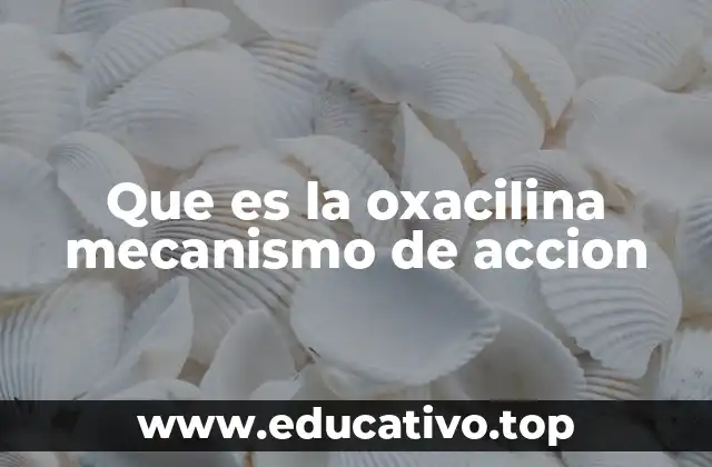Que es la oxacilina mecanismo de accion
