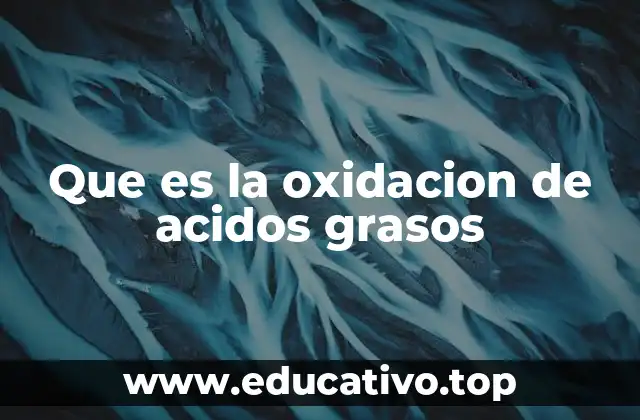 Que es la oxidacion de acidos grasos