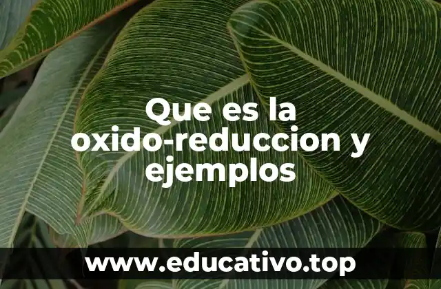Que es la oxido-reduccion y ejemplos
