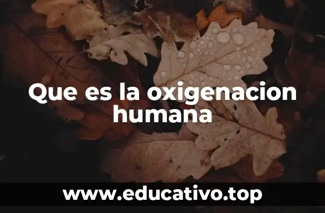 Que es la oxigenacion humana