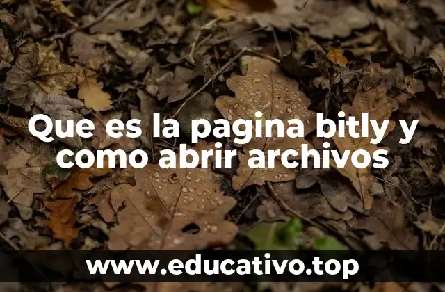 Que es la pagina bitly y como abrir archivos