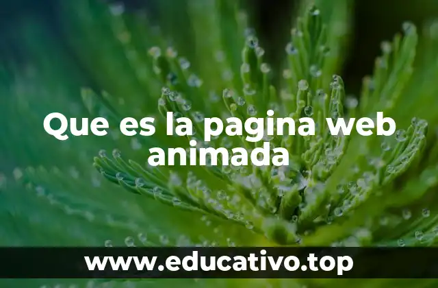 Que es la pagina web animada
