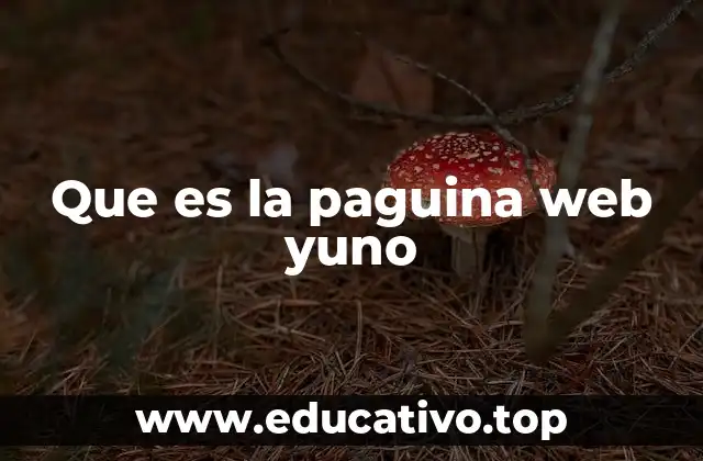 Que es la paguina web yuno
