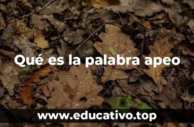 Qué es la palabra apeo