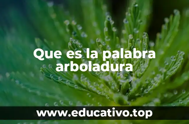 Que es la palabra arboladura