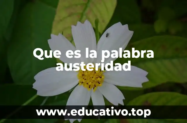 Que es la palabra austeridad