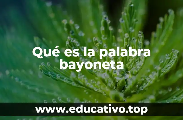 Qué es la palabra bayoneta