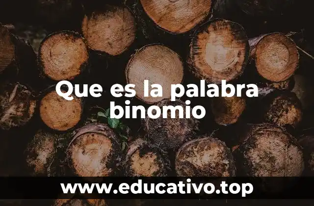 Que es la palabra binomio