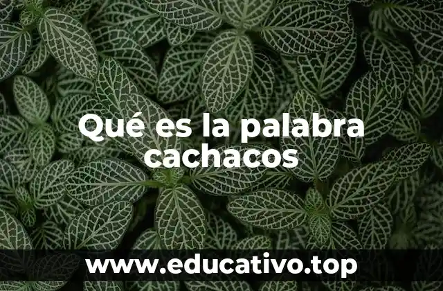 Qué es la palabra cachacos