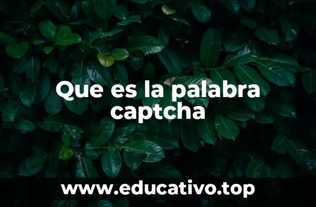 Que es la palabra captcha