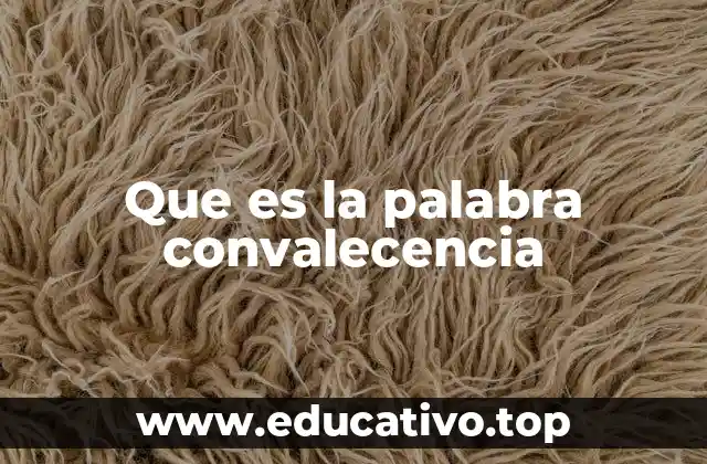 Que es la palabra convalecencia