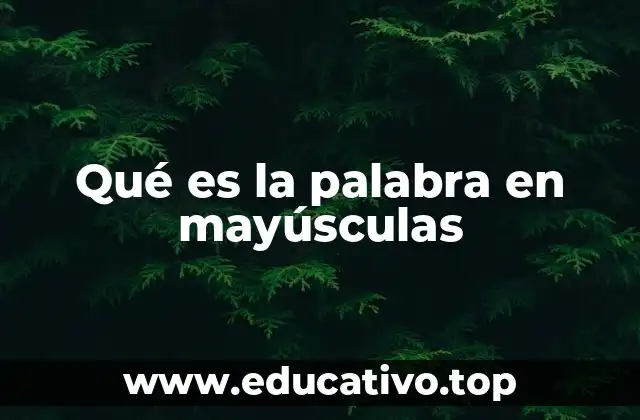 Qué es la palabra en mayúsculas
