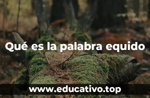 Qué es la palabra equido