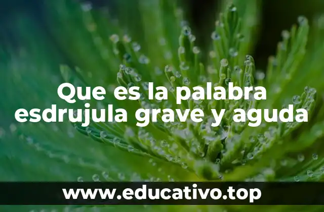 Que es la palabra esdrujula grave y aguda