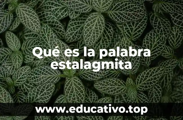Qué es la palabra estalagmita