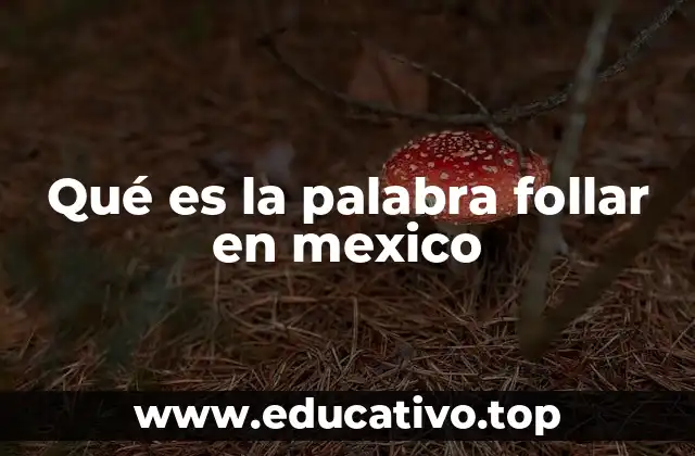 Qué es la palabra follar en mexico