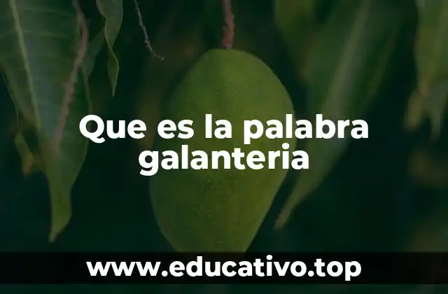 Que es la palabra galanteria