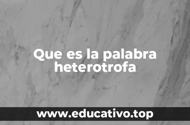 Que es la palabra heterotrofa