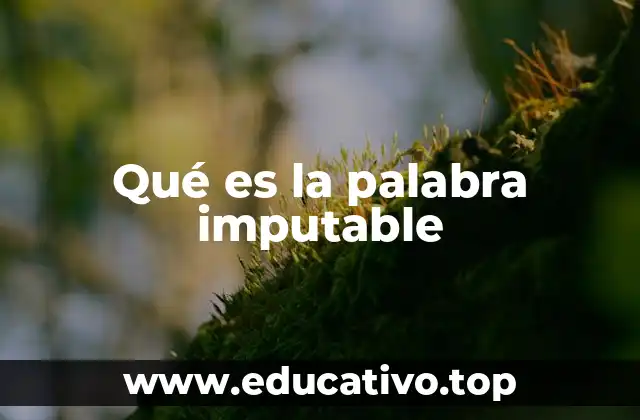 Qué es la palabra imputable