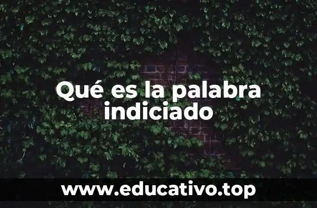 El indiciado en el contexto legal y judicial