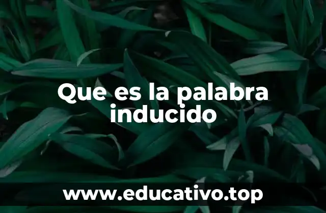 Que es la palabra inducido