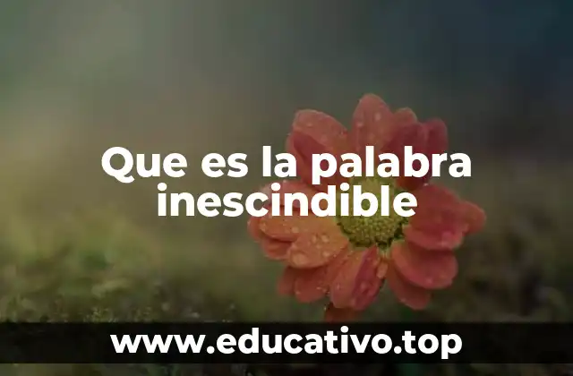 Que es la palabra inescindible