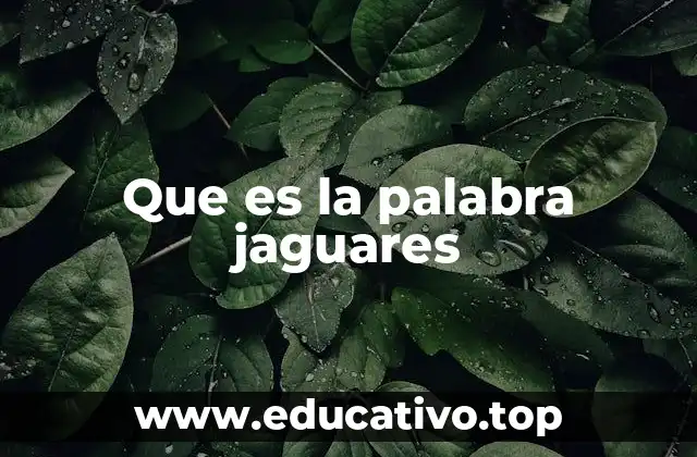 Que es la palabra jaguares