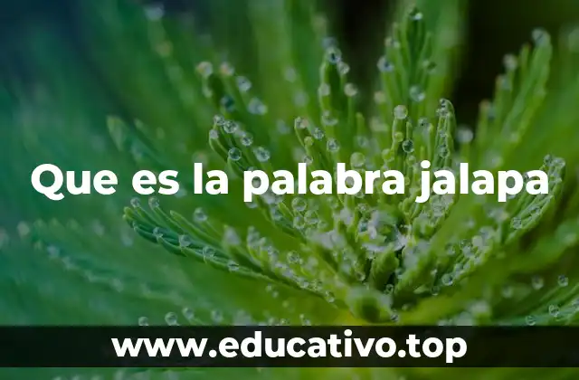 Que es la palabra jalapa