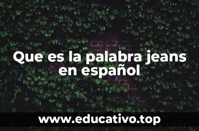 Que es la palabra jeans en español