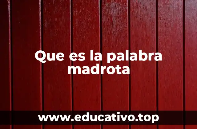 Que es la palabra madrota