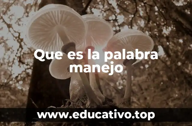 El arte de controlar con habilidad