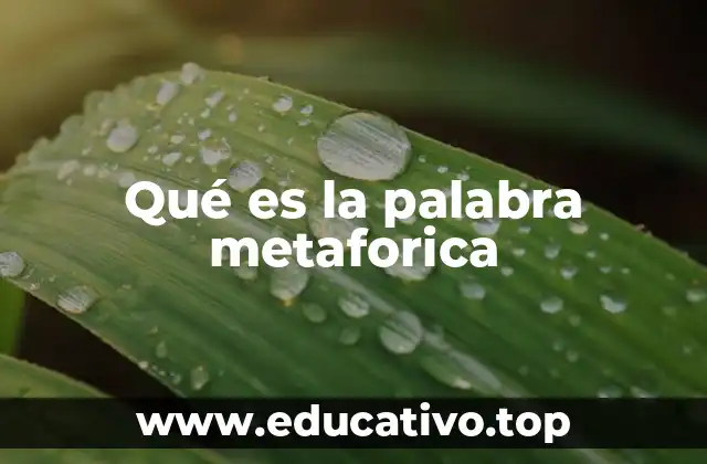 Qué es la palabra metaforica