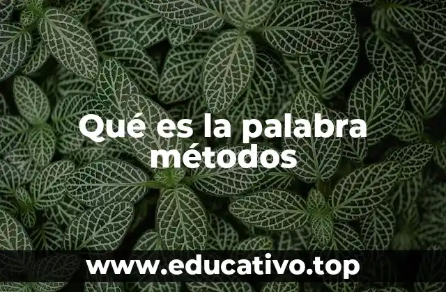 Qué es la palabra métodos