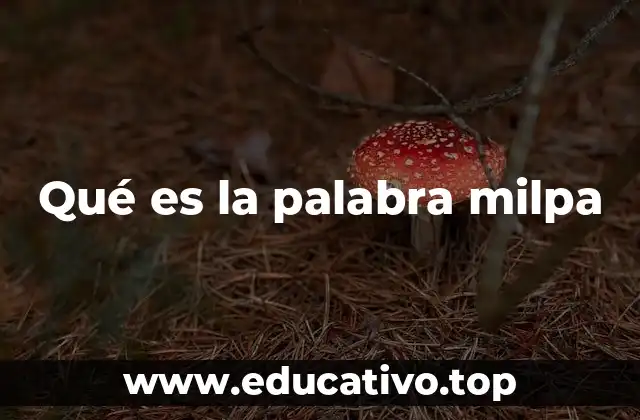 Qué es la palabra milpa