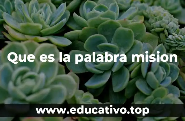 Que es la palabra mision