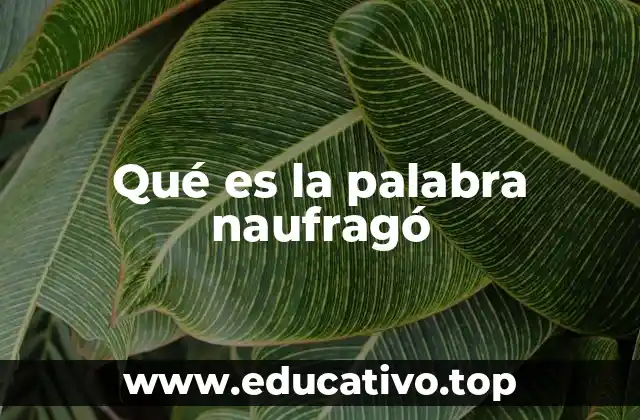 Qué es la palabra naufragó
