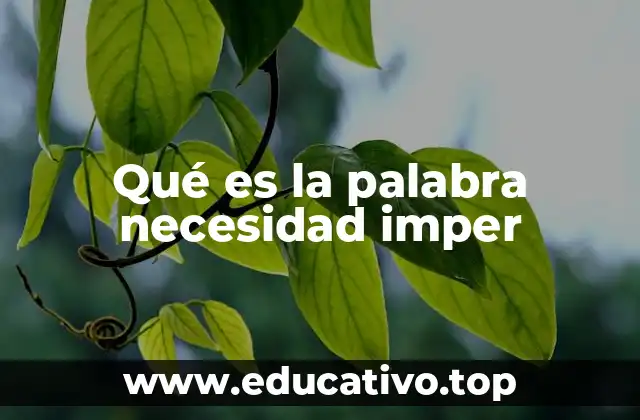 Qué es la palabra necesidad imper