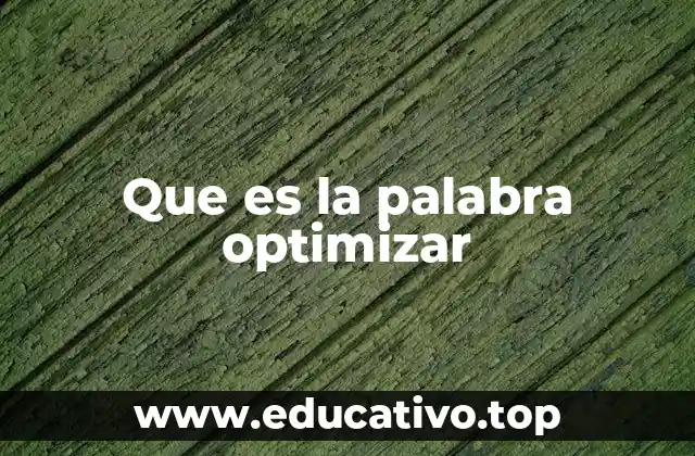 Que es la palabra optimizar