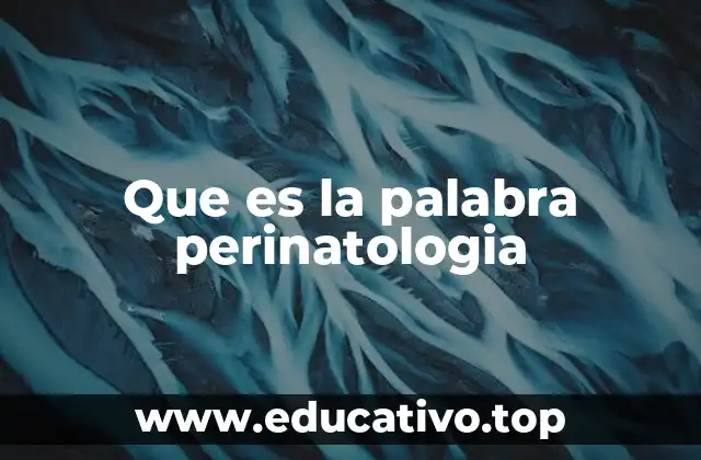 Que es la palabra perinatologia