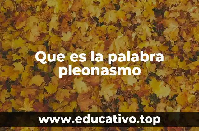 Que es la palabra pleonasmo