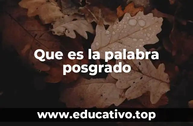 Que es la palabra posgrado
