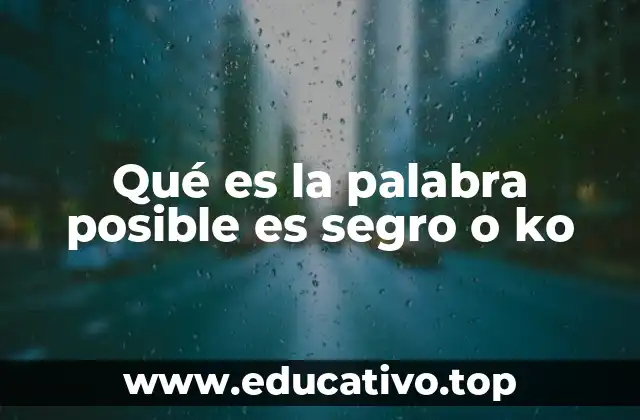 Qué es la palabra posible es segro o ko