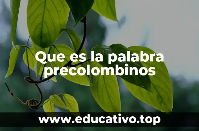 Que es la palabra precolombinos