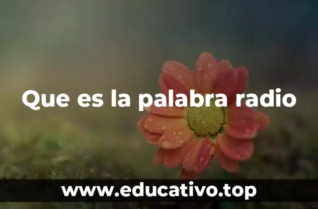 Que es la palabra radio