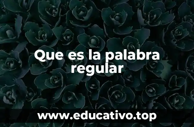 Que es la palabra regular