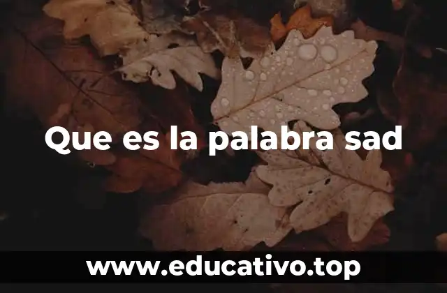 Que es la palabra sad