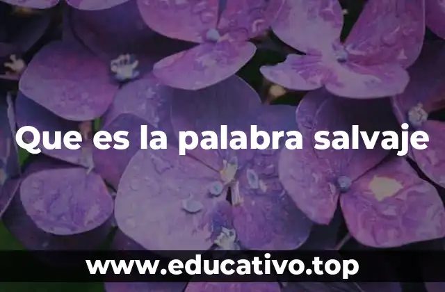 Que es la palabra salvaje