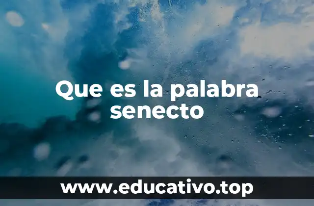 Que es la palabra senecto