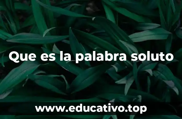 Que es la palabra soluto