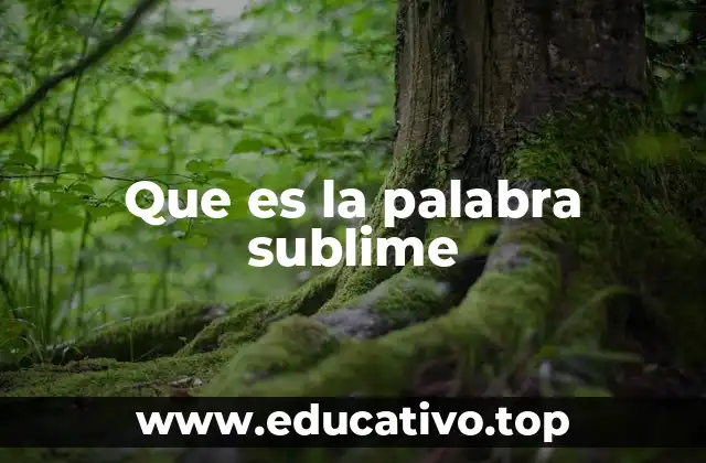 Que es la palabra sublime